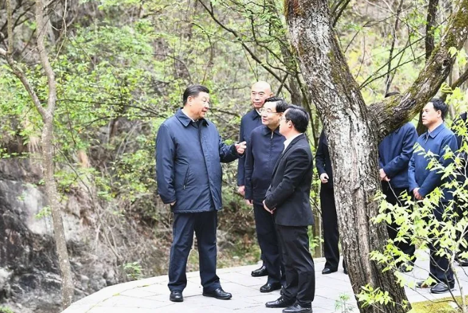 QQ图片20200427004010.png